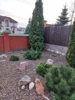 Весенние котики