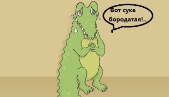 Боец ММА из Флориды одолел аллигатора голыми руками