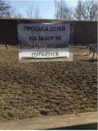Не ну а чо, детей много, а воспитатель одна, за всеми не уследишь. А это идея! Забор то длинный, можно же вообще всю группу развесить по забору и всё, можно спокойно загорать, там, не знаю, в смартфоне зависать, куда они с забора денутся? Главное, чтобы лошадей рядом не было....