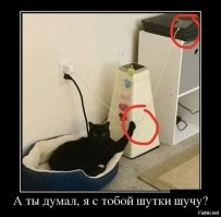 Не ищите здесь смысл. Здесь в основном маразм