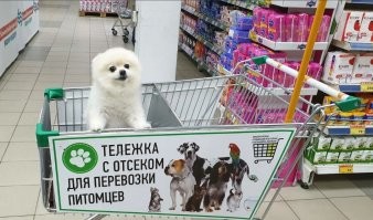 С магазинами тоже всё просто. Если руководство разрешает, то, значит, можно, если не разрешает, то нельзя.