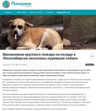 В Москве мопс по кличке Пахом чуть не сжёг квартиру