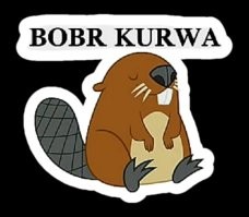 "Курва я пердоле" это уже мем