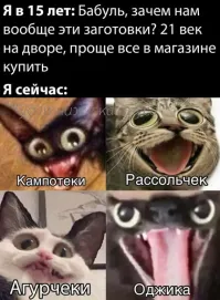 Не ищите здесь смысл. Здесь в основном маразм