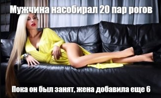 Мужчина насобирал 20 килограмм рогов и получил штраф