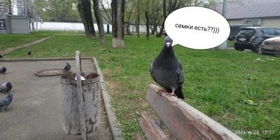 Намешалось