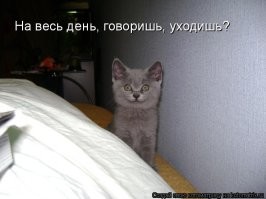 Скрины из соцсетей
