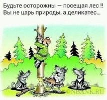 В Румынии туристка попала в больницу после встречи с медведем