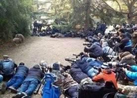 В Стамбуле суд приговорил к 1794 годам заключения террористку, убившую 6 человек в центре города