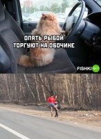 Рыба давно тухлая