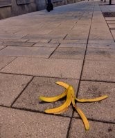 Я видел, как слон с енотом на голове поскользнулся на банане.