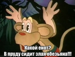 Девушка пытается покормить енота