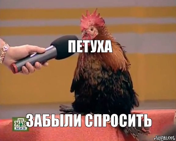 Мем: "ПЕТУХА Забыли спросить" - meme-arsenal.com