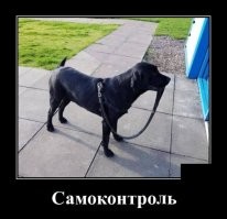 Просто гифки, всякие и&nbsp;разные