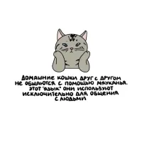 То есть, когда кошки и коты во время брачных разборок друг на друга орут, а людей и близко рядом нет, это нам кажется?