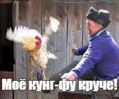 Петух внезапно напал на хозяйку