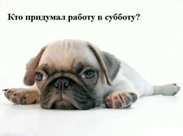 Политический мониторинг (310)