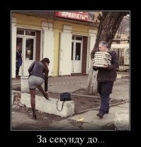 17 фотографий, сделанных за мгновение до катастрофы