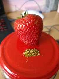 Да не целиком чистить, а только косточки вынуть)
