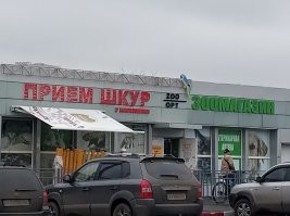 Как "тяжело" девушкам достаются квартиры и машины