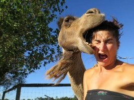 Ну некоторые именно так и думают. Иначе подобных фото не было бы.