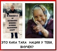 Политический мониторинг (311)