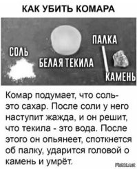Кстати, о комарах...