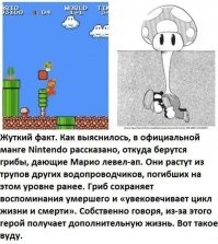 Зато теперь понятно откуда появились разумные грибы заполонившие косомс.