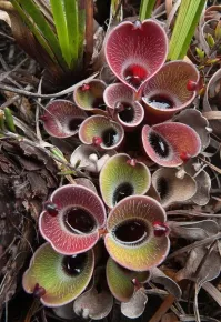 Оно на меня посмотрело!