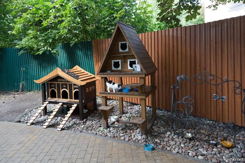 А у нас в городе сначала было так. Потом вот так. А теперь вот так гламурно с загородкой от врагов и тёплым полом с модными особняками. И на последнем фото фирменная котофейня.