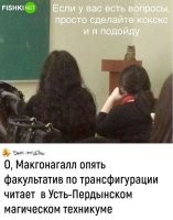 Если взять лазерную указку, то учитель станет невменяемым, будет носится по стенам, по партам ...