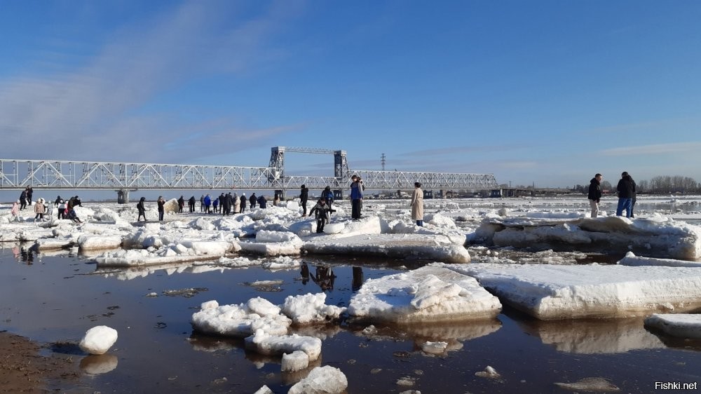 Ледоход - настоящее чудо природы - прямо сейчас на Северное Двине в Архангельске...