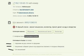 Женщина три недели живет с дочерью и восемью кошками в автомобиле в подмосковном Пушкино