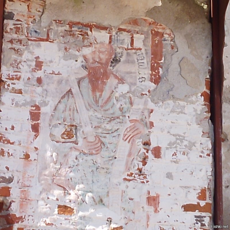 Мне через четыре месяца 50. Эта руина бывшая кирха Св. Барбары в нынешнем посёлке Храброво в Калиниградской области. Там даже сохранился кусочек старинной фрески.
