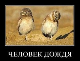 17 кадров, сделанных под идеальным углом или с занятной перспективой