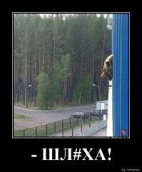 Ивлеева удалила все свои посты в запрещённой Инсте*