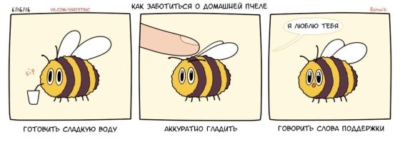 Ребенок жаловался на "монстров в спальне", но реальность оказалась намного страшнее