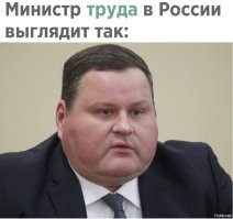 То есть в родных кишлаках этот шлак не нужен, а нужно, чтобы он весь в Москвабаде других городах-миллионниках осел.
Спасибо, мля, министру труда и соц. ресурсов Котякову (судя по рылу, его Чайка-младший покусал) и отдельное спасибо Вован Вованычу.