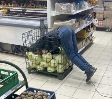 Зайка