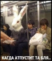 &nbsp;Намешалось&nbsp;