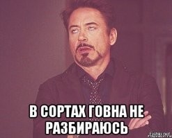 Российскую рэпершу проверит полиция после скандального концерта в Москве