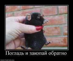 «Есть у крота секрет,
Известный лишь ему,
Он вечно ищет свет,
Предпочитая тьму.»
  Валентин Гафт