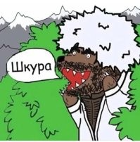Девушка в опасности: Шурыгина рассказала, что сама вызвала полицию и попросила полицейских её забрать