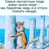 Скрины из соцсетей