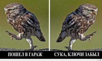 Демотиваторы:"На работу надо идти так, чтобы она тебя боялась!"