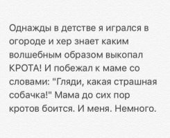 Обыкновенный крот: он всегда на грани голодной смерти
