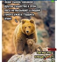 Мемы из соцсетей. Свежак за 2 мая