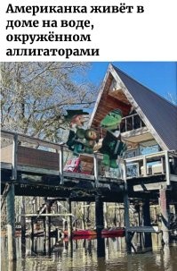Американка живёт в доме на воде, окружённом аллигаторами
