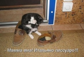 Кот в сапогах и не только