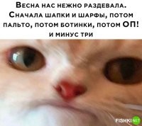 Ну неужели хромой ритм не чувствуется? Предложение:
Весна нас нежно раздевала.
Сначала шапки и шарфы,
Потом пальто, потом ботинки,
Потом х@як - и минус три.